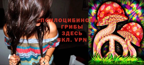 a pvp Алзамай