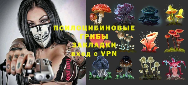 СК Алексеевка